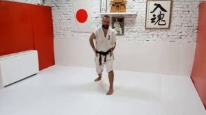 Разбор ката Пинан Соно Ни от сэнсэя Максима Дедика