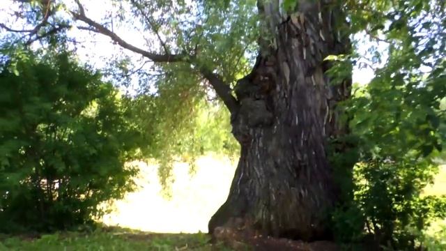 Музей-заповедник писателя С.Т.Аксакова. Природа.