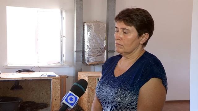 В зоопарке Шымкента насмерть замерзли серые вараны смотреть онлайн