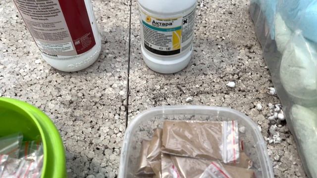 Все что требуется для выращивания пеларгоний . смотреть онлайн