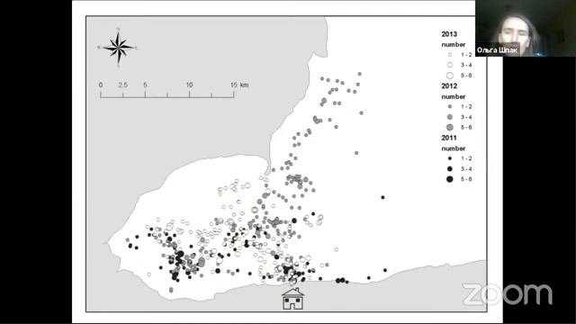 Прямой эфир о гренландских китах смотреть онлайн