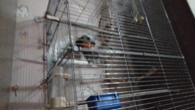 у меня планшет надпись несмогу зделать ну то есть на видео))) смотреть онлайн