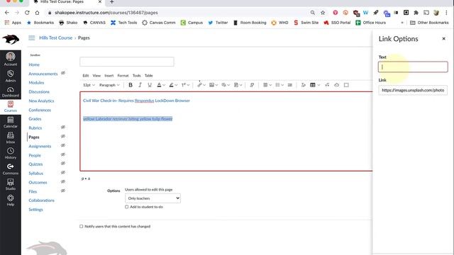 New Rich Content Editor: Linking, Uploading, and Embedding смотреть онлайн