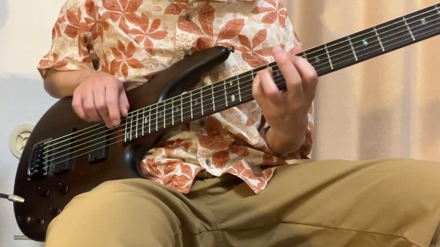 Fly Me To The Moon (Bart Howard) 2023.08.27 Ibanez SRC6 Baritone Guitar смотреть онлайн