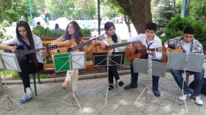 кружит голову мимоза-Guitars )