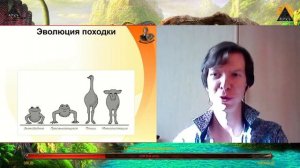 Детский эфир «Невероятные звероящеры» с палеонтологом Ярославом Поповым