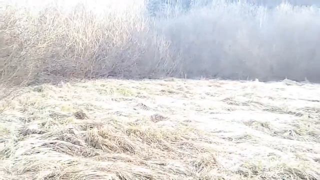 Нашел старую поляну смотреть онлайн