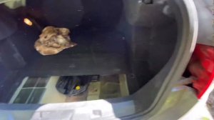 Стоит ли покупать автомобиль в залоге у банка?