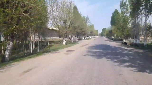 Samarqand Viloyati Jomboy  Tumani  Oq Oltin