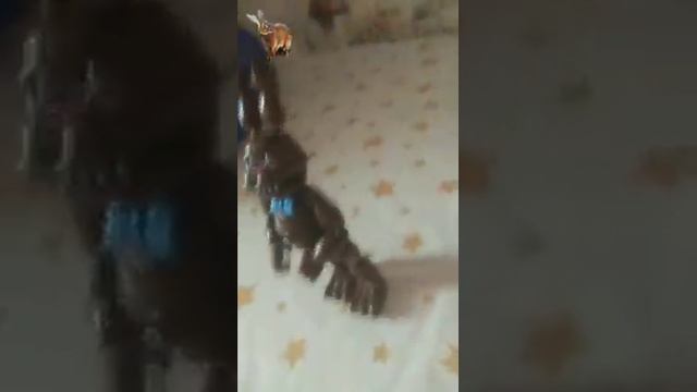 шоколадный заяц смотреть онлайн
