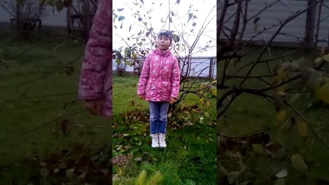 Антонова Софья смотреть онлайн