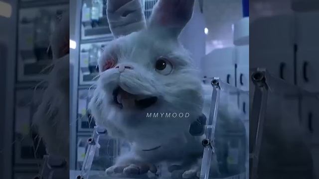 Люди! Не покупайте косметику где написано тестировано на животных? хуже людей нет животных... смотреть онлайн