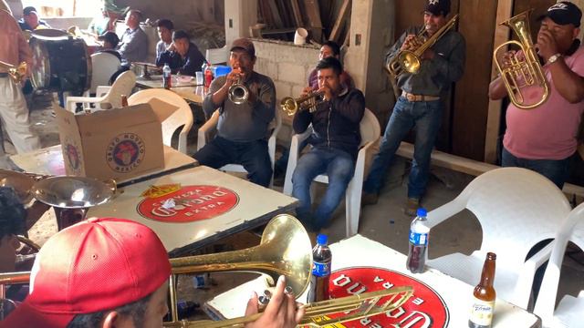SANTO DIOS😱🔥 QUE CHULADA DE BANDA PAPÁÁÁ - PURO TALENTO DE GUERRERO - Banda Santa Cecilia de Moyo смотреть онлайн