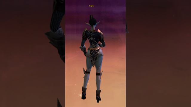 L2 Female Dark Elf B-Grade Blue Wolf Sets смотреть онлайн