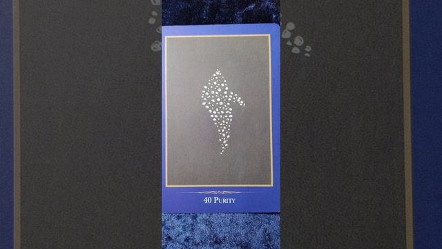 Purity ?️ Empathic Oracle card meaning смотреть онлайн