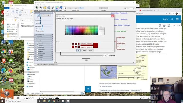 Editing phylogenetics trees in FigTree смотреть онлайн