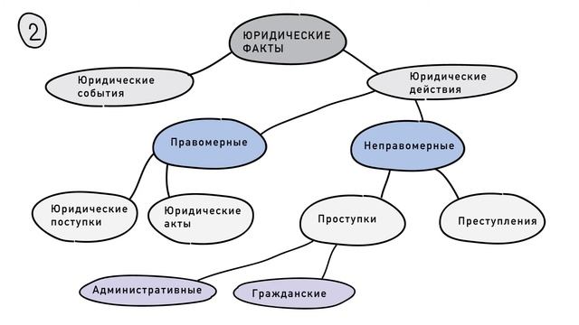 Юриспруденция. Основы права. Юридические факты. Понятие и классификация . смотреть онлайн