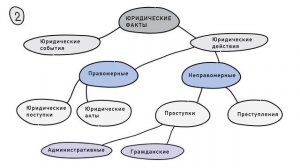 Юриспруденция. Основы права. Юридические факты. Понятие и классификация .