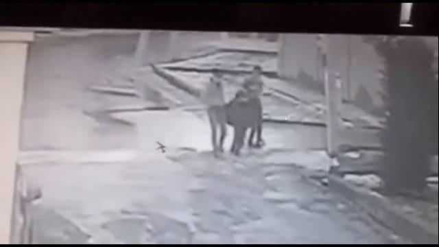 Вазирнинг валломатга қаҳри Тармоқдаги бир видео шарҳи. 04.02.2023. смотреть онлайн