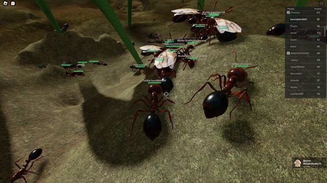 Ant Life - Roblox смотреть онлайн