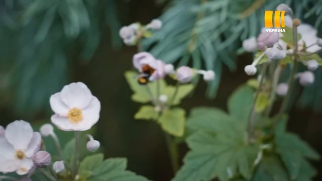 Грім серед ясного неба (Серія 4) смотреть онлайн