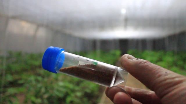 Кремній Si важливий єлемент . смотреть онлайн