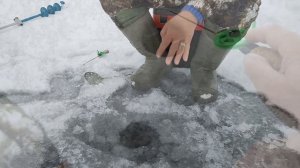 ЛУЧШАЯ БЕЗМОТЫЛКА ПО ПЕРВОМУ ЛЬДУ!!! - Плотва на сырный кубик - Зимняя рыбалка 2021