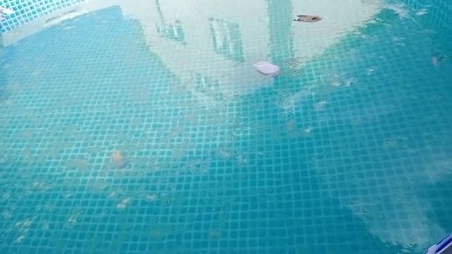 Чтобы вода не зеленела ? Чистка бассейна ? Перекись водорода?(Часть 2) смотреть онлайн
