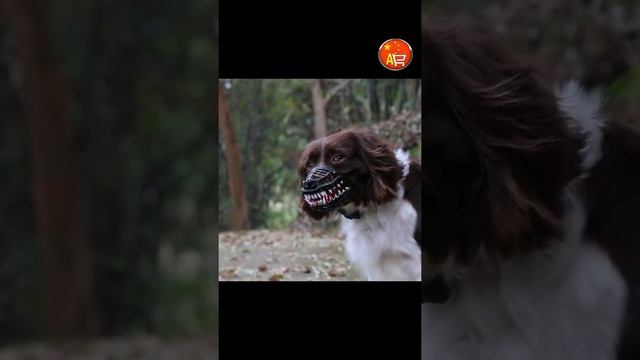 Намордник для собаки / намордник для Хэллоуина #shorts смотреть онлайн
