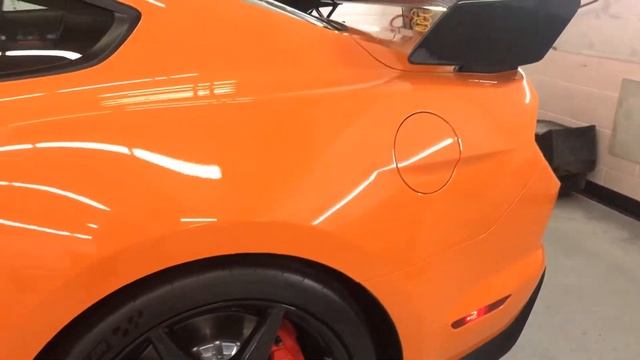 2021 Ford Mustang Shelby GT500 in for FULL BODY Xpel Ultimate Plus PPF with a ceramic paint coating смотреть онлайн
