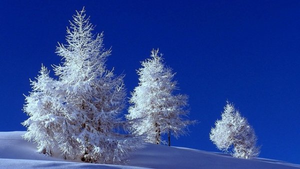 Elen Cora - Snieg Za Oknom [Album Mix] [Video Arturo Alvarotti] [2017.02.15]