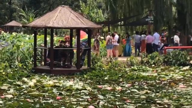 Все начинается с мечты! Основатель Borakami Club, Марина Лаптева смотреть онлайн
