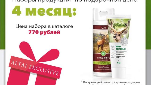 Для новичков! Добро пожаловать в Батель! смотреть онлайн