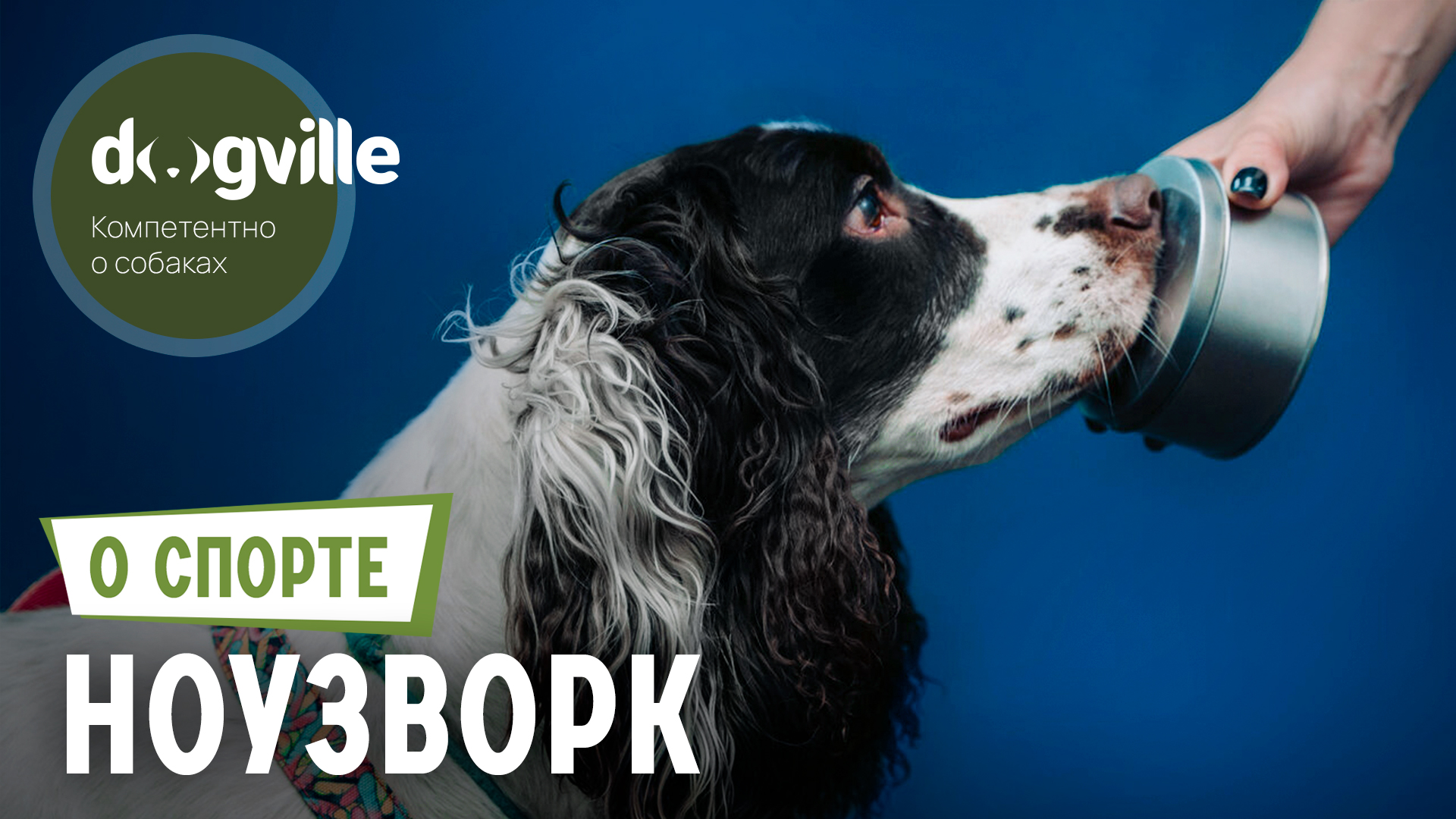 Ноузворк – О спорте смотреть онлайн