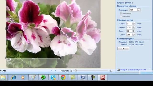 Как изменить картинку с помощью Picture Manager. смотреть онлайн