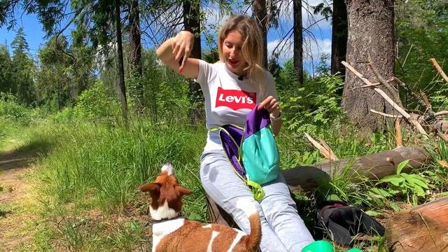Вещи, без которых Тобик не выходит из дома. Что в рюкзаке? смотреть онлайн
