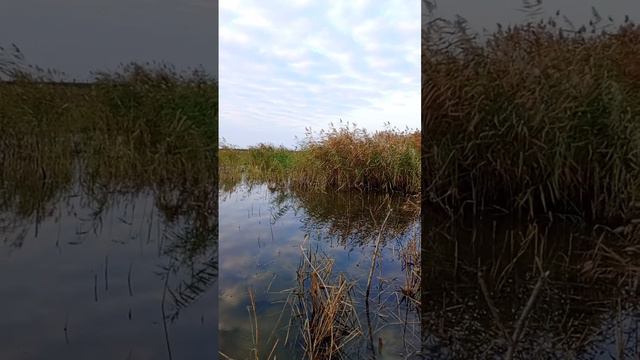 Рыбалка. смотреть онлайн