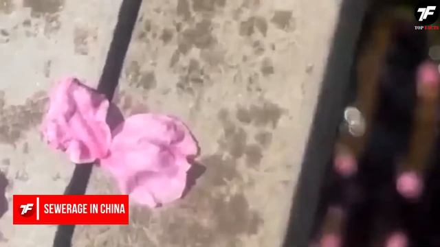 Это РЕДКОЕ Явление Происходит Раз в Миллион Лет смотреть онлайн