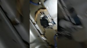 Skoda Octavia Tour: Замена патронов и лампочек подсветки номера.