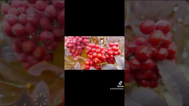 Спокойной ночи,сладких снов !!!? смотреть онлайн