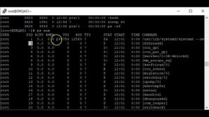 Understanding What Process is & Its Attributes In Linux (RHCSA 8, Lesson 11A)
