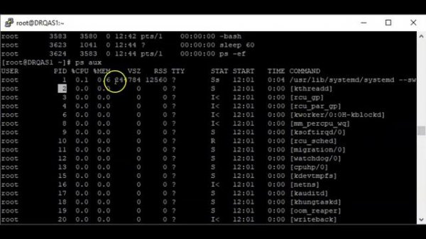 Understanding What Process is & Its Attributes In Linux (RHCSA 8, Lesson 11A)