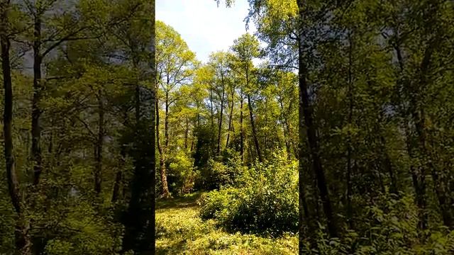 Ирпень, природа смотреть онлайн