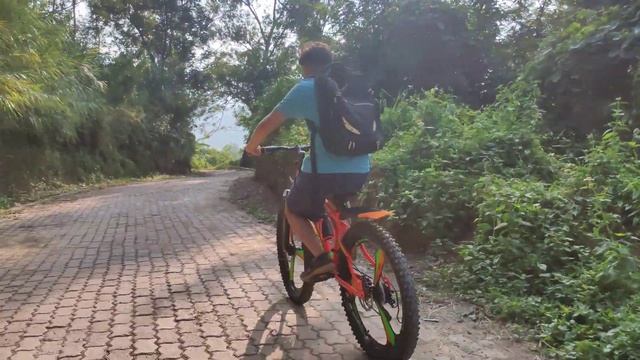 Braveheart (3.0) - 21 Speed | Explained in Detail | смотреть онлайн