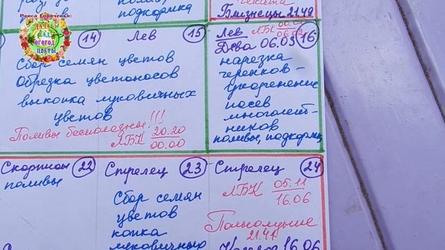 Календарь цветовода на июнь 2021 года смотреть онлайн