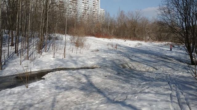 Спуск с холма на беговых лыжах смотреть онлайн