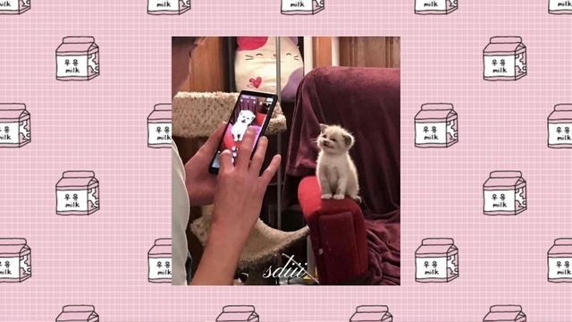 ALZaBi - свела с ума (speed Up)