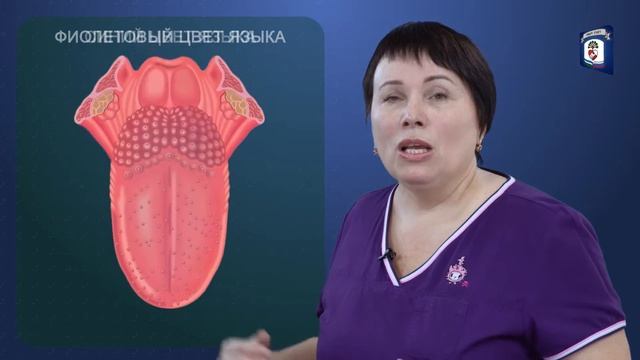 Секреты Профессионального Творца