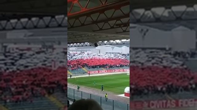 COREOGRAFIA CURVA NORD ANCONA-Fermana 1-2 serie C 2021 смотреть онлайн