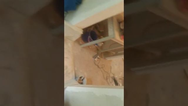 Не делай ремонт санузла не посмотрев это видео!! смотреть онлайн